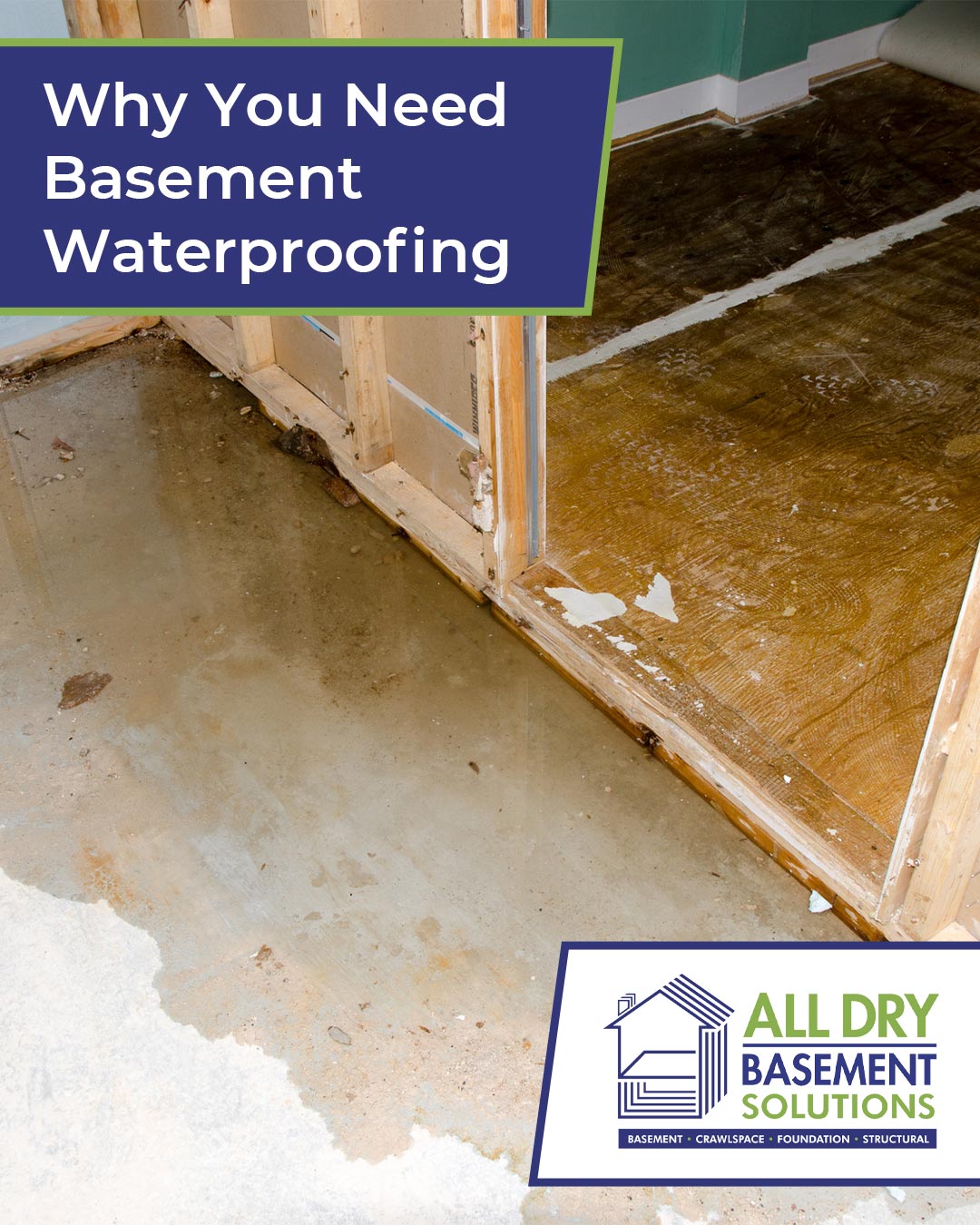 Why You Need Basement Waterproofing