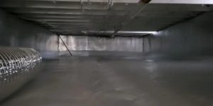 What to Expect from Our Dehumidification Services